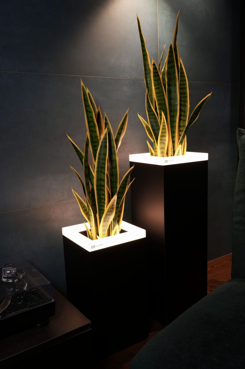 COLLECTION "INTERNO" MATTE - Image 3