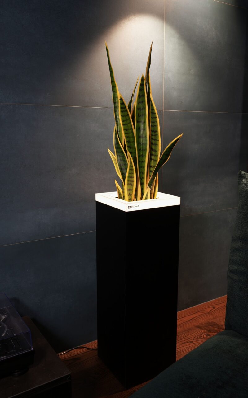 COLLECTION "INTERNO" MATTE - Image 4