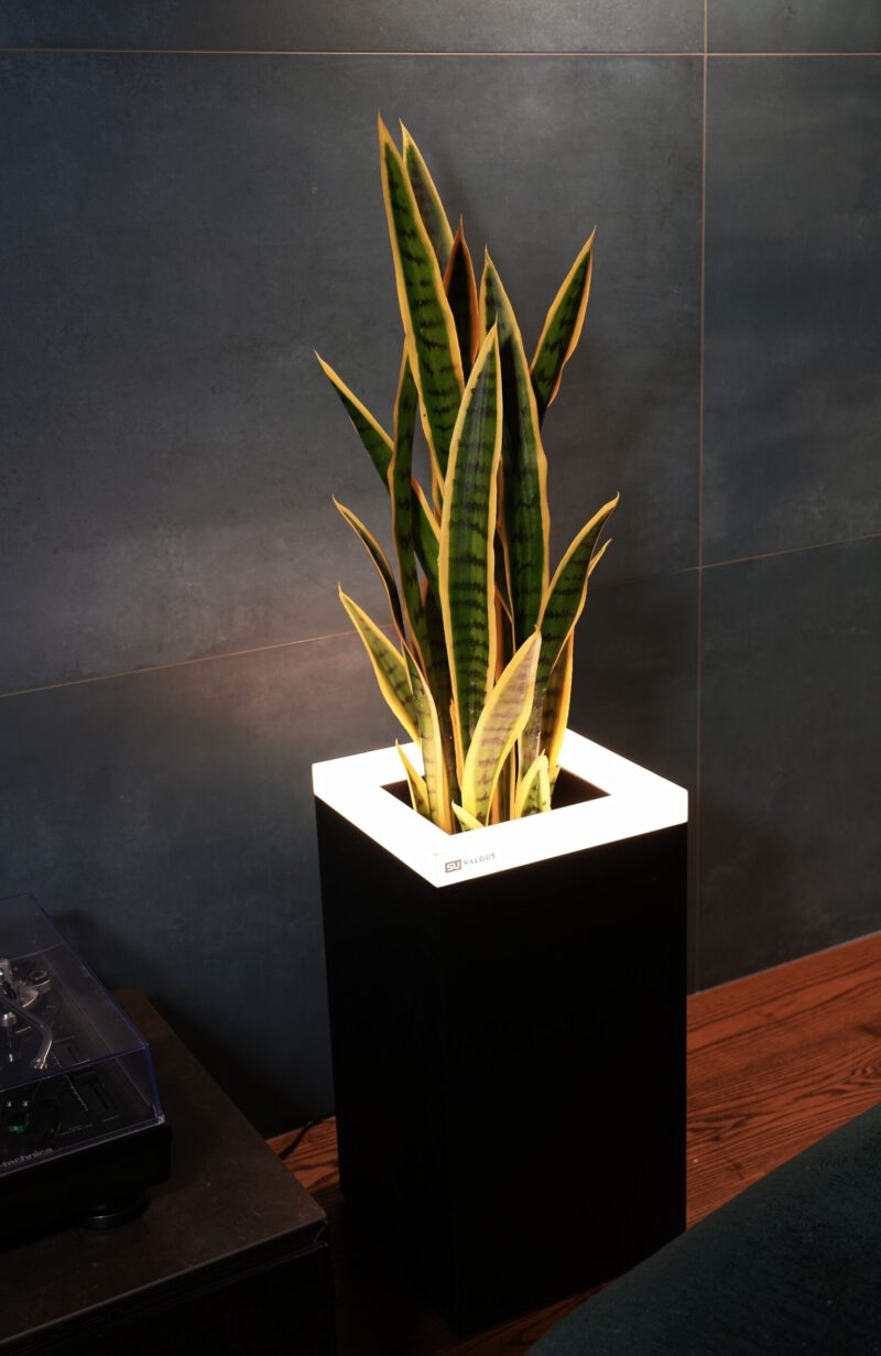COLLECTION "INTERNO" MATTE - Image 5