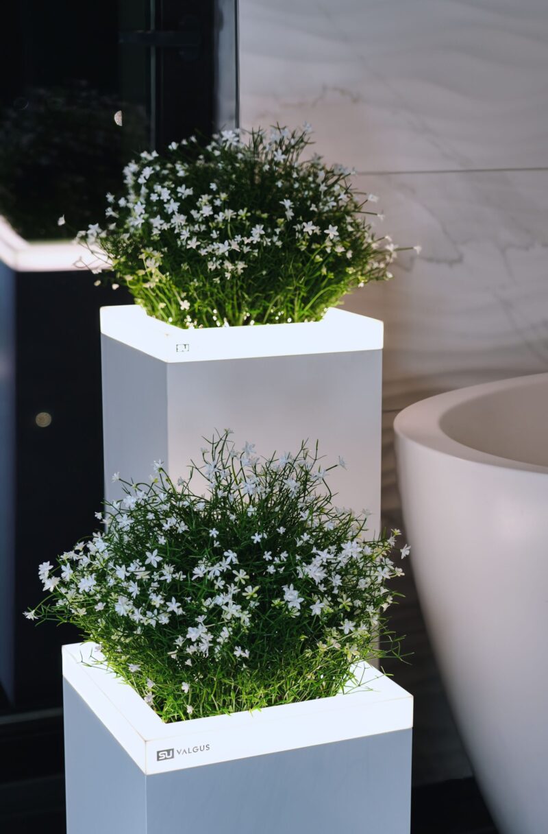 COLLECTION "INTERNO" MATTE - Image 6