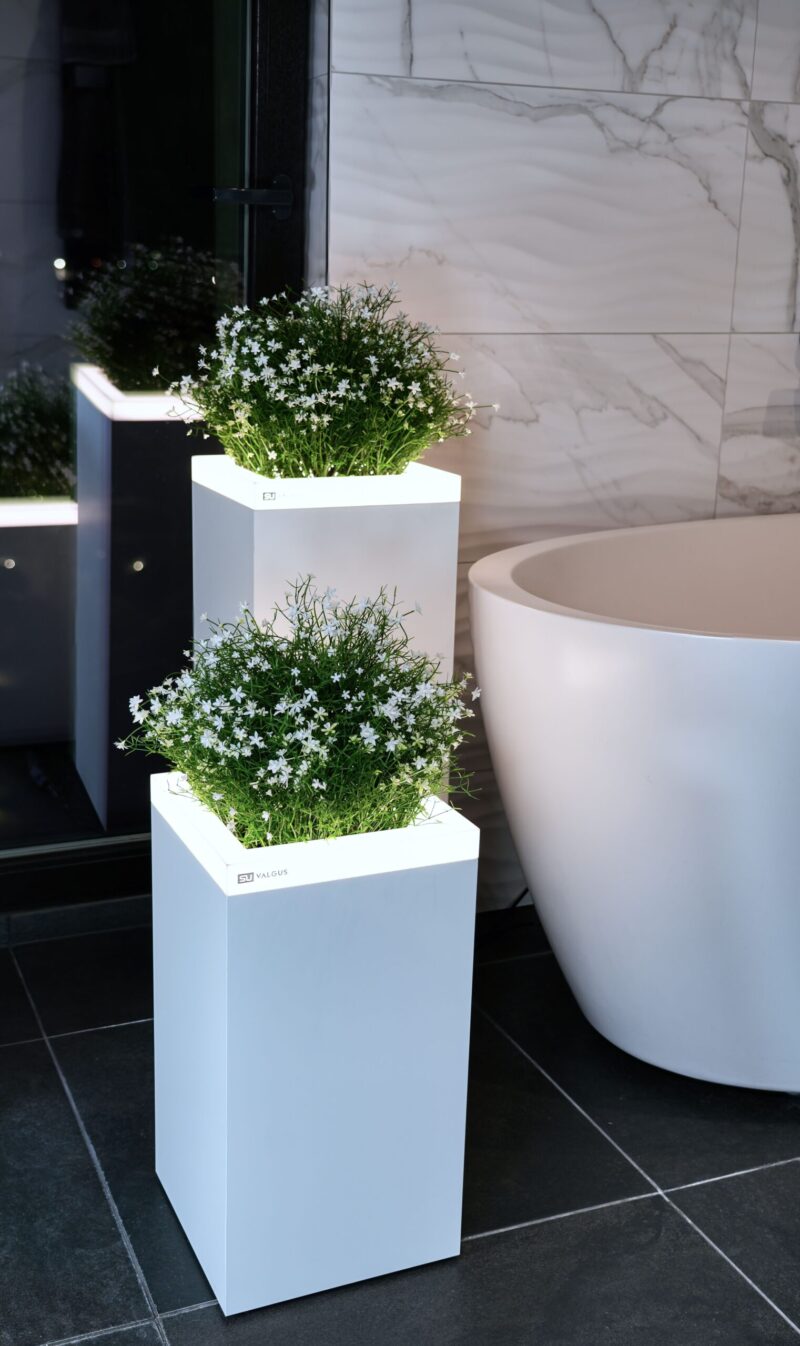 COLLECTION "INTERNO" MATTE - Image 8