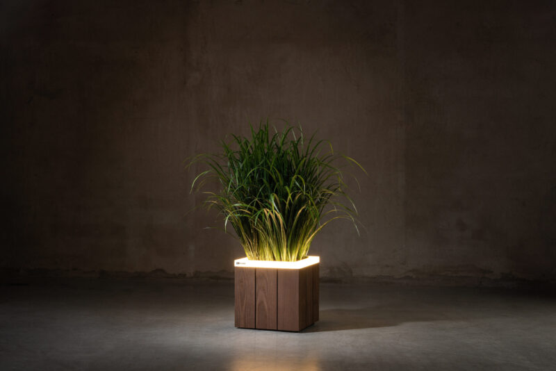 ASH wideline - Image 4
