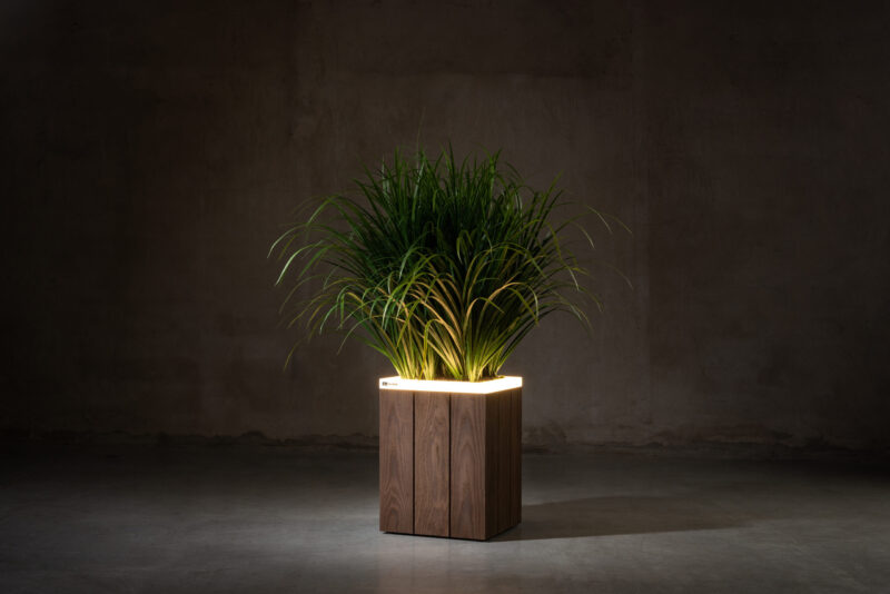 ASH wideline - Image 5