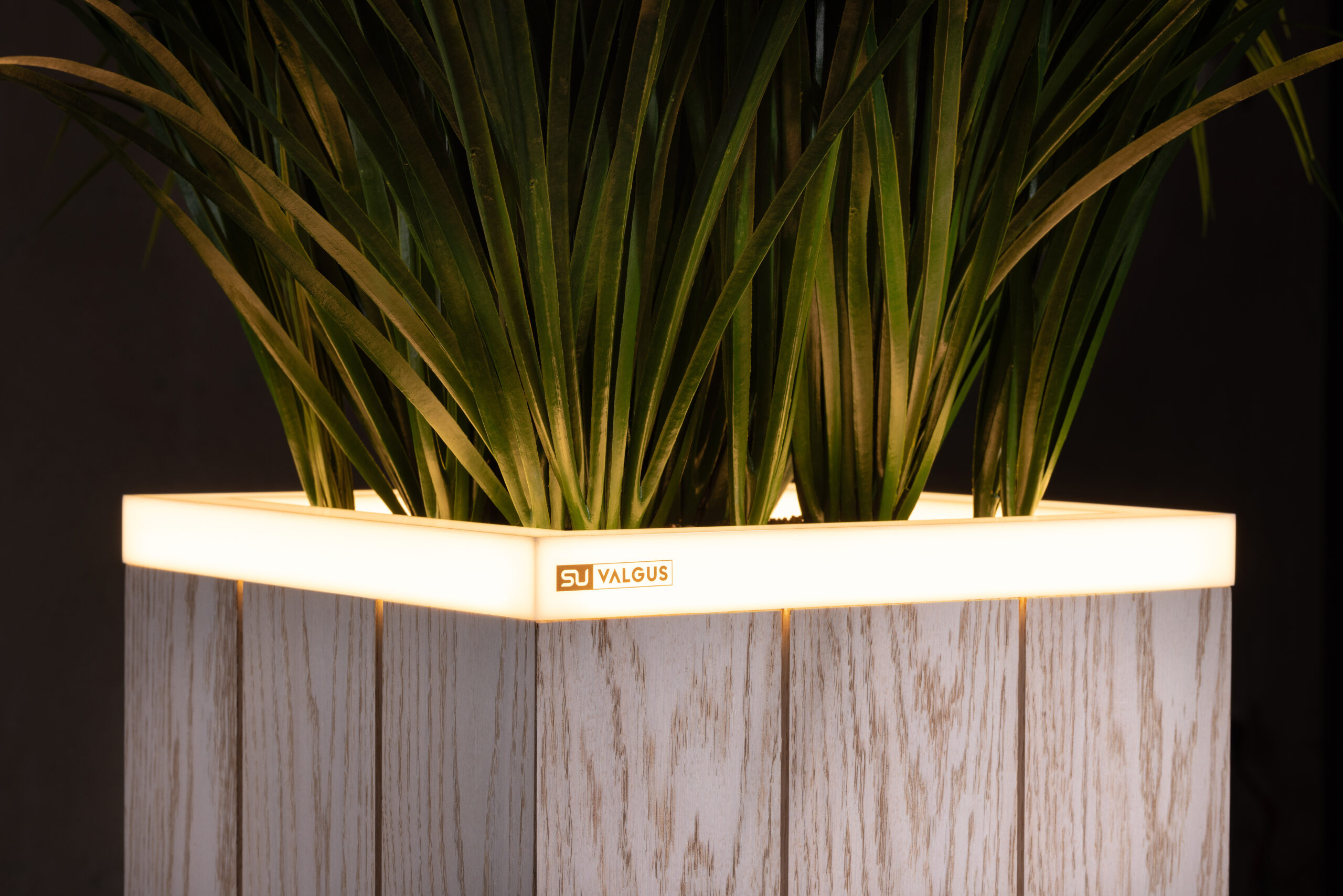 White oak detail