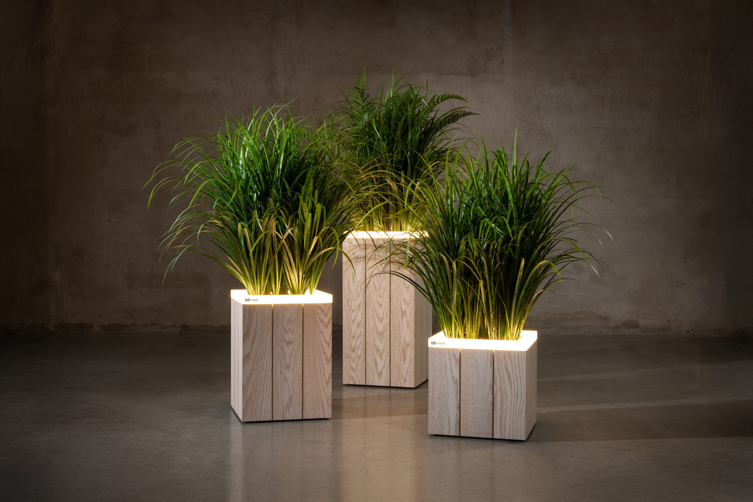 White oak group