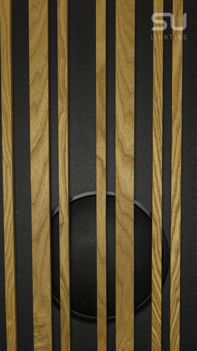 THERMO with speaker - Image 2