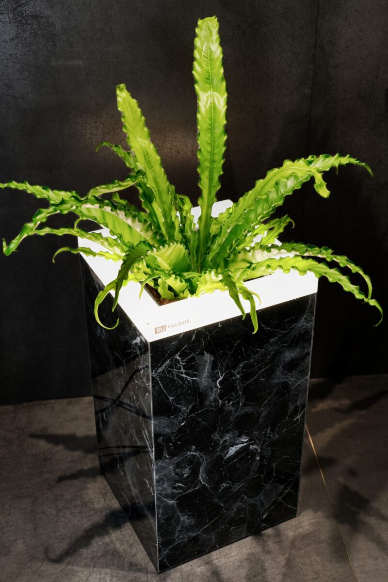 COLLECTION "INTERNO" MARBLE - Image 10