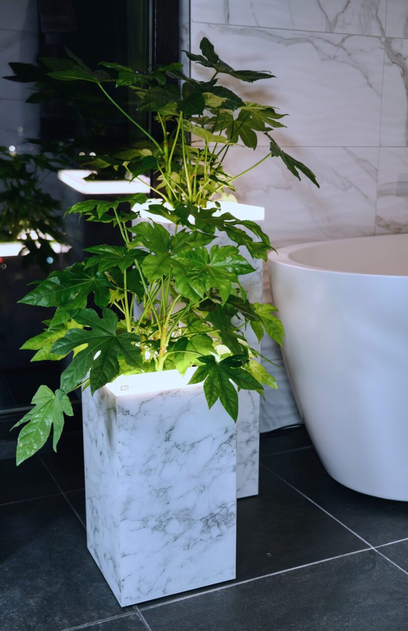 COLLECTION "INTERNO" MARBLE - Image 4