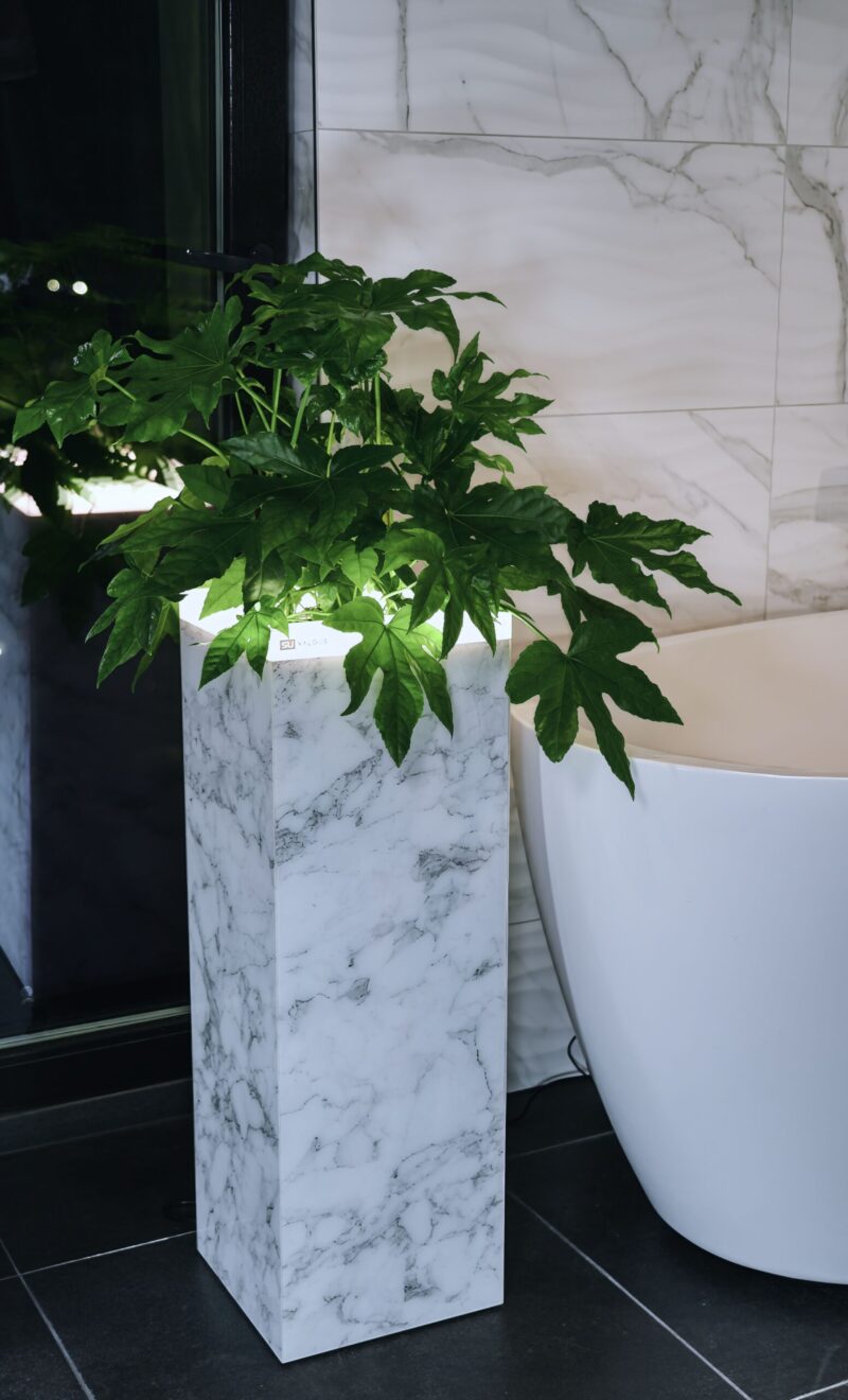 COLLECTION "INTERNO" MARBLE - Image 5