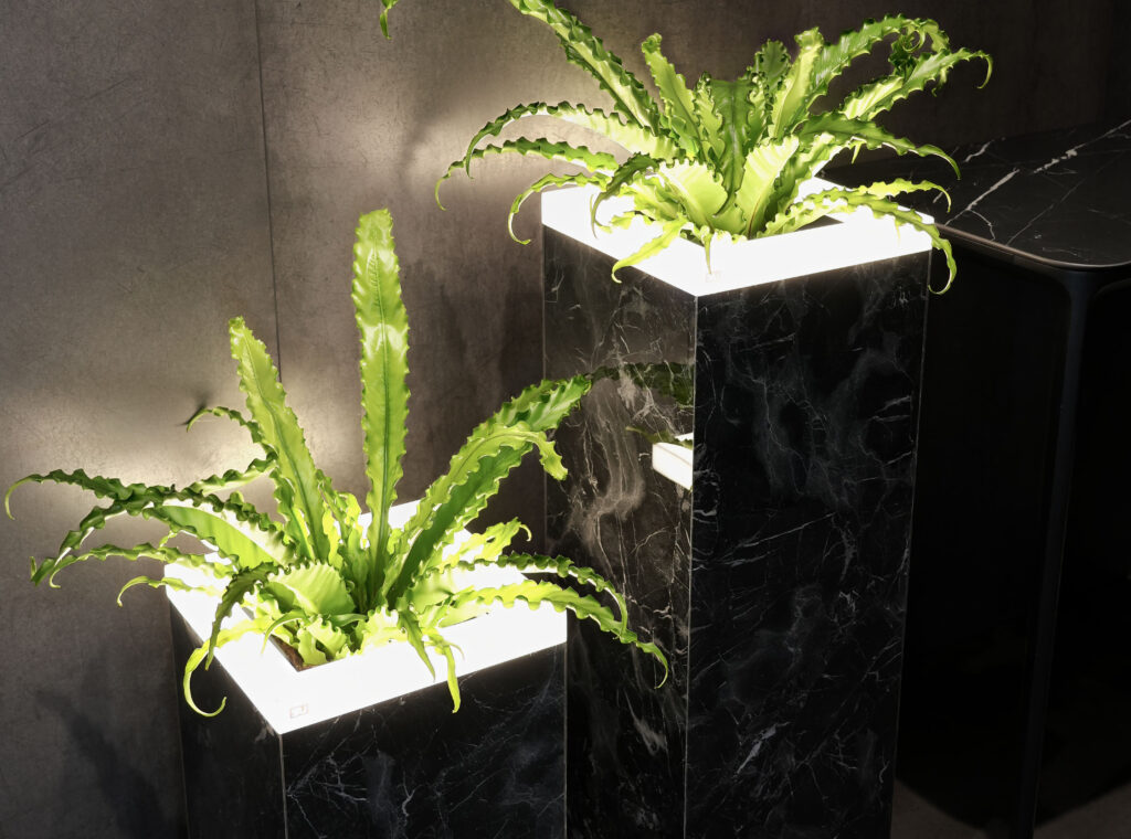 marble2
