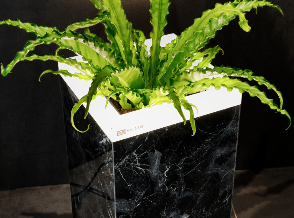 marble4